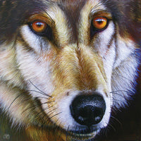 SunsOut Wolf Face 1000 Piece Jigsaw Puzzle